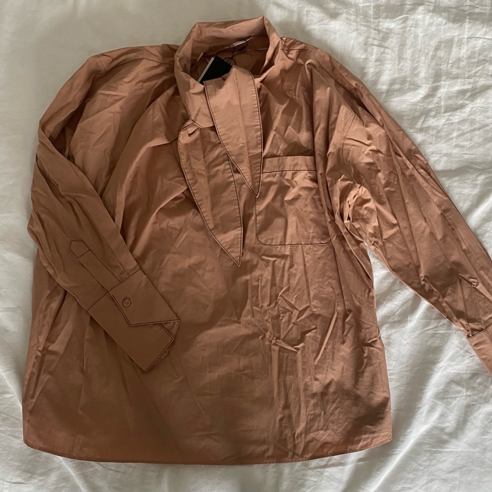Zara NWT Tan Long Sleeve Top